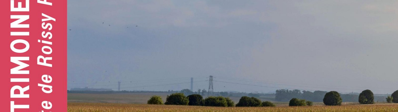 Illustration principale © JY Lacôte