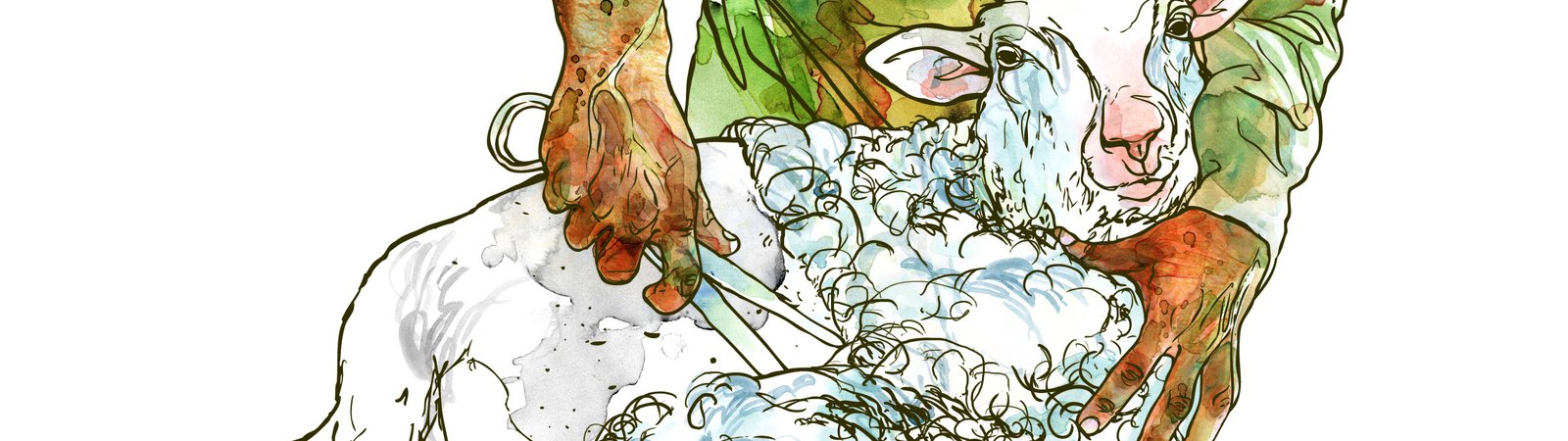Illustration principale © M. Appriou